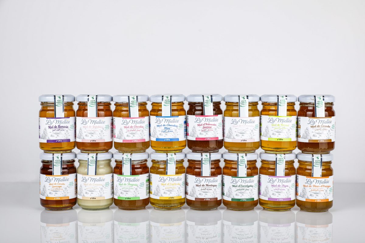 Pack trésor d'Algérie