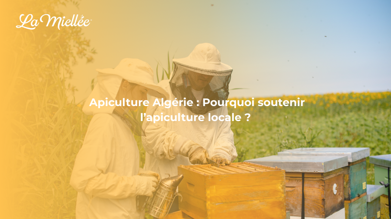 Apiculture Algérie