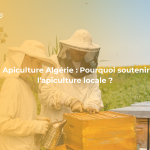 Apiculture Algérie
