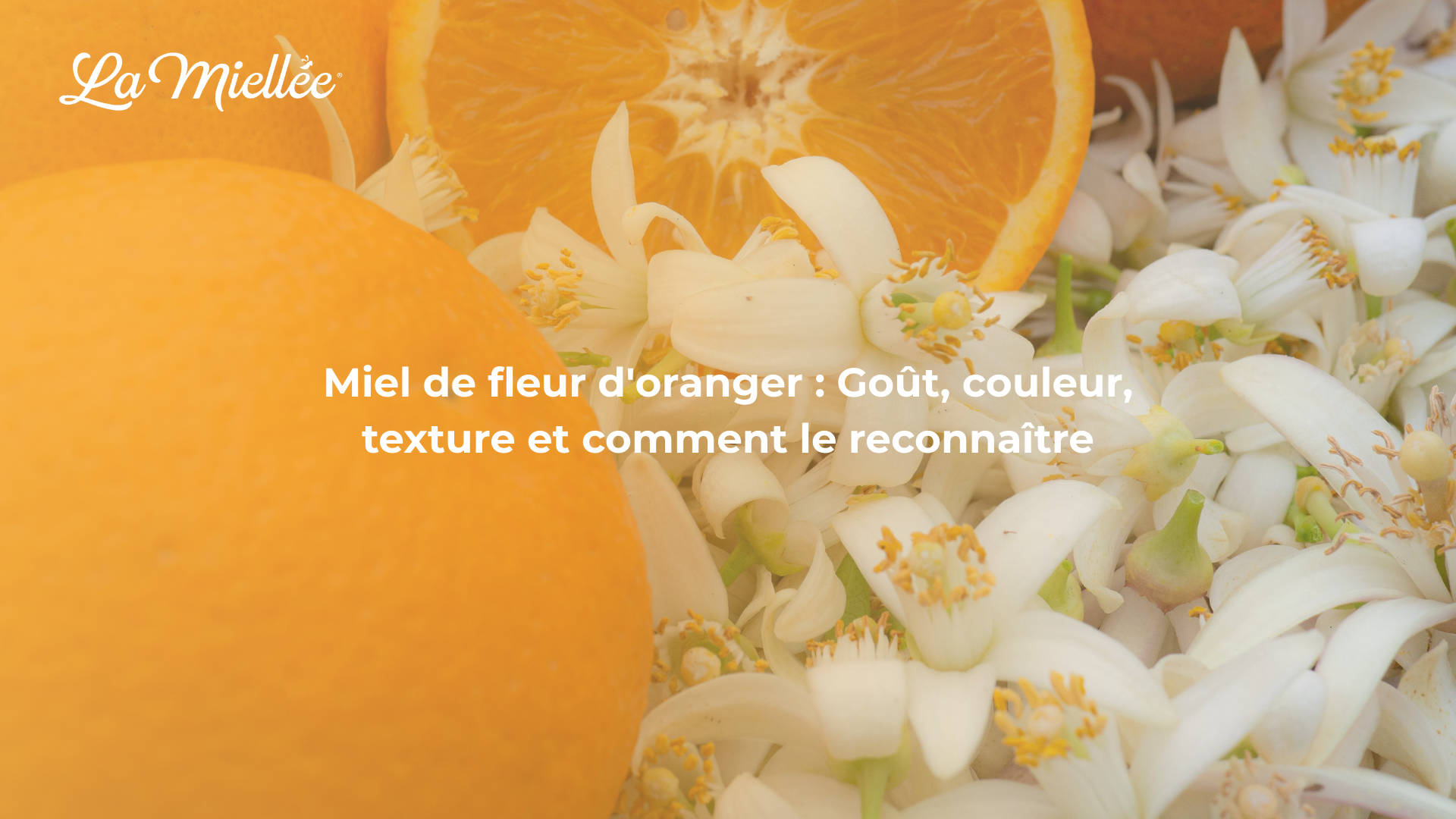 Miel de fleur d'oranger