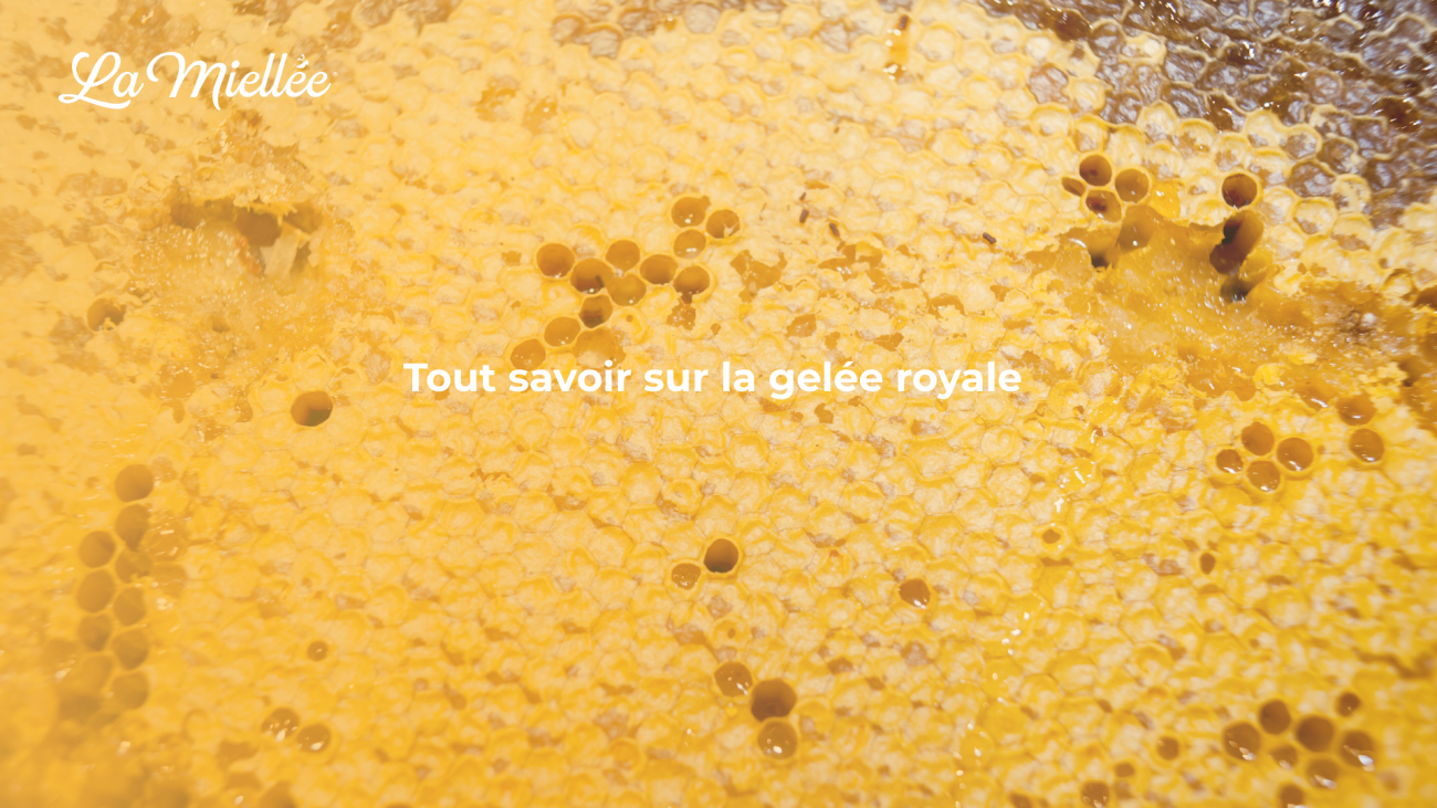 La gelée royale