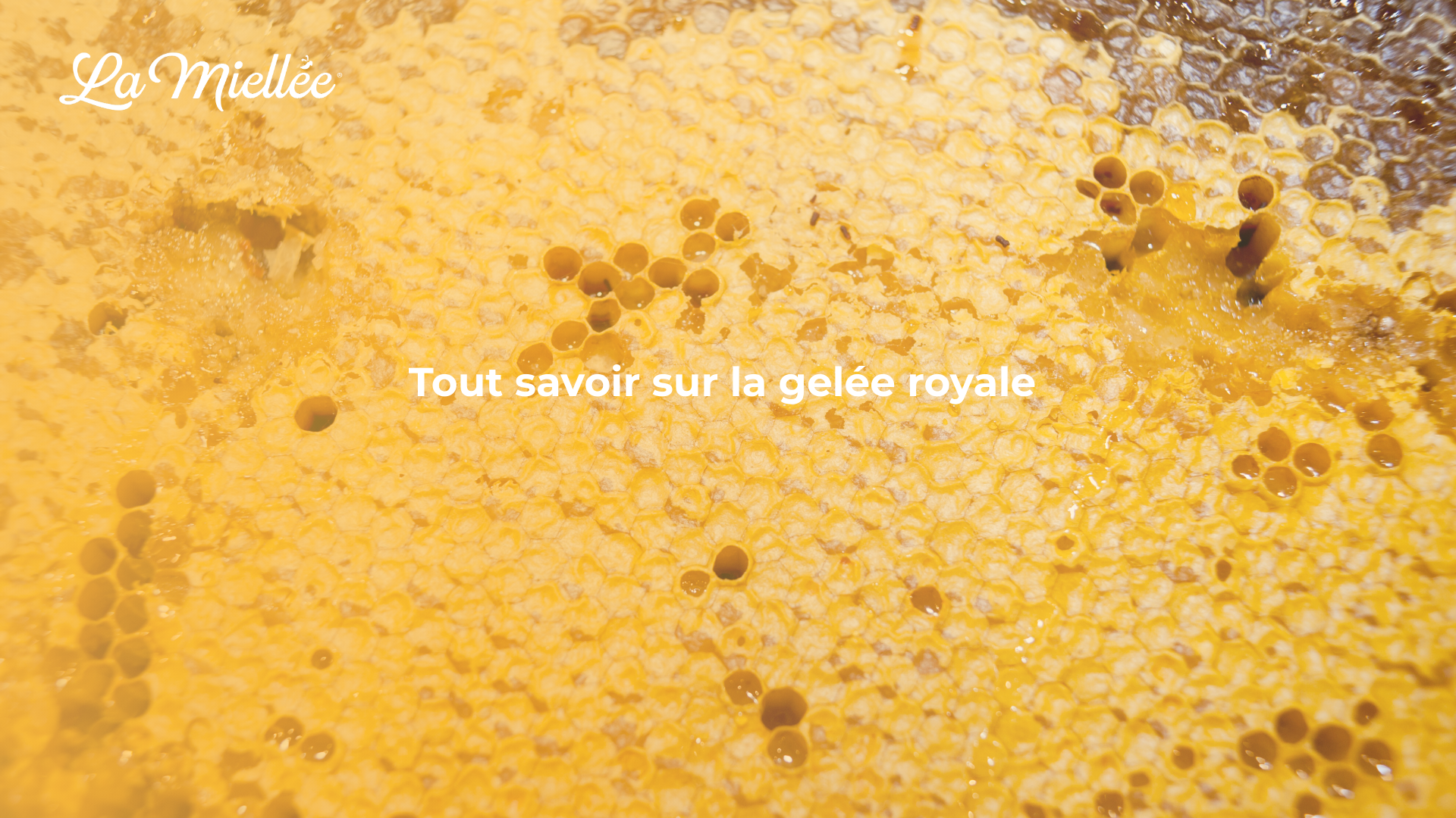 La gelée royale