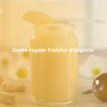 Gelée royale fraîche d'Algérie 