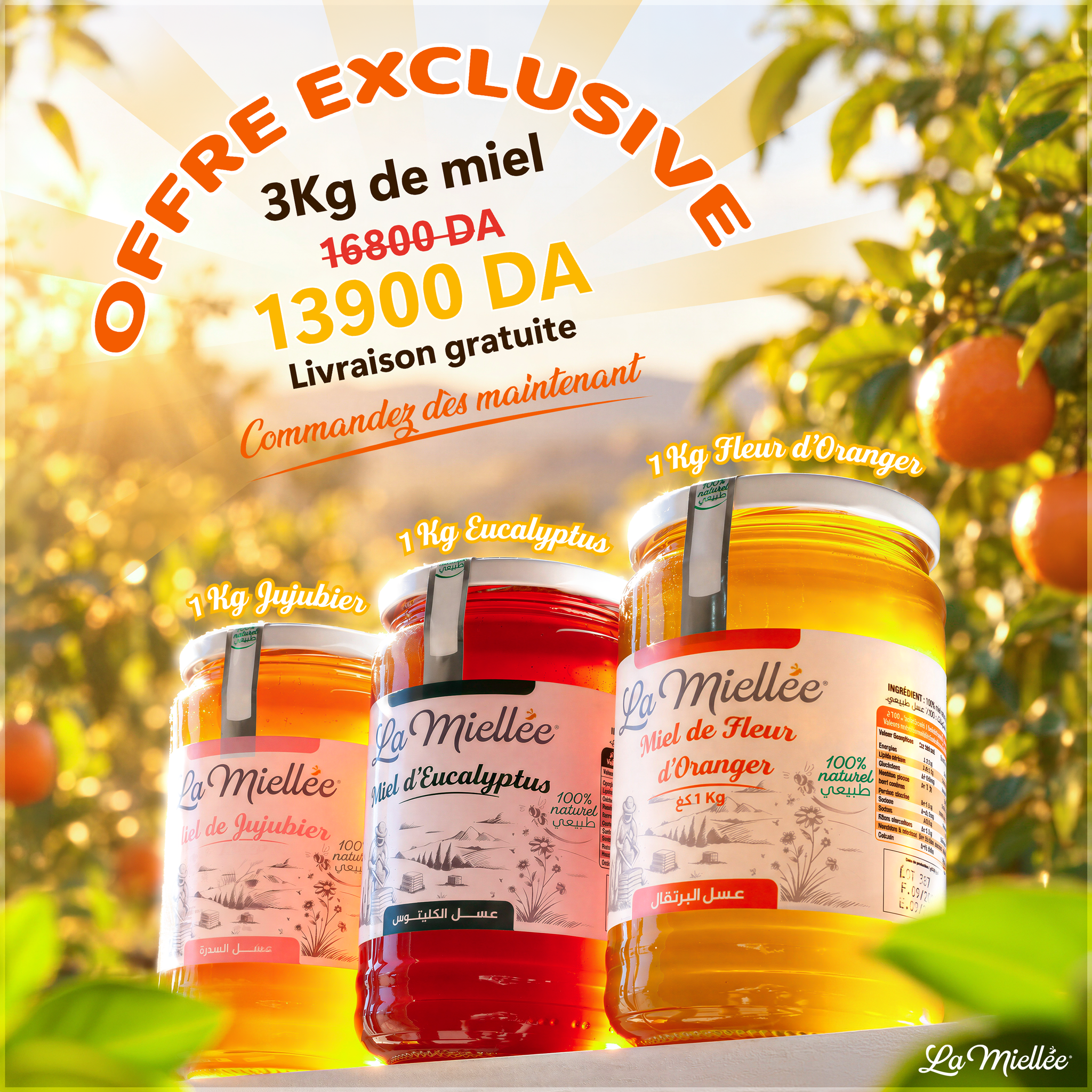 pack-square Pack 3 Kg de Miel - Jujubier 1 Kg ; Eucalyptus 1 Kg ; Fleur d'Oranger 1 Kg – Image 1